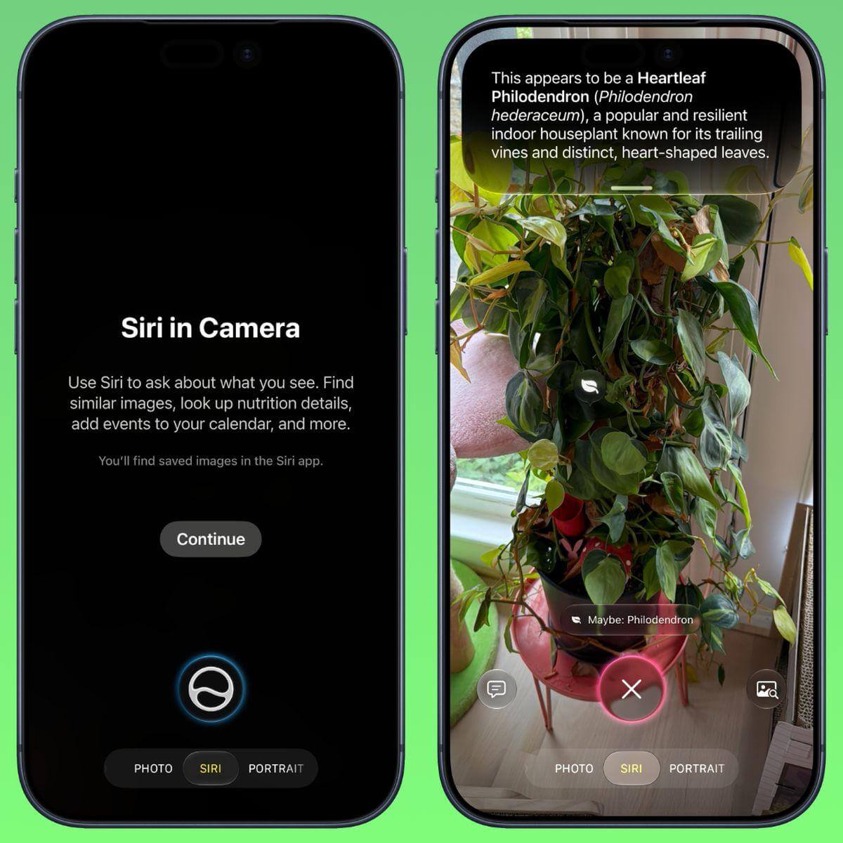 Read more about the article Новые фишки и функции iOS 27 для iPhone — 13 главных обновлений